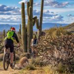 Cyclists riding through the desert