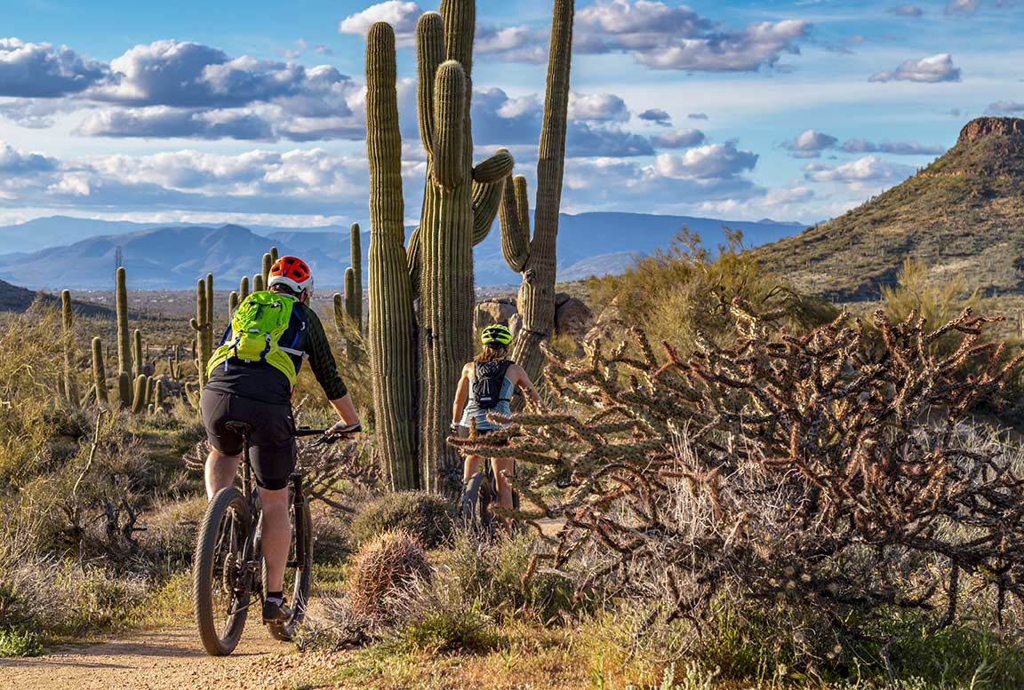 Cyclists riding through the desert